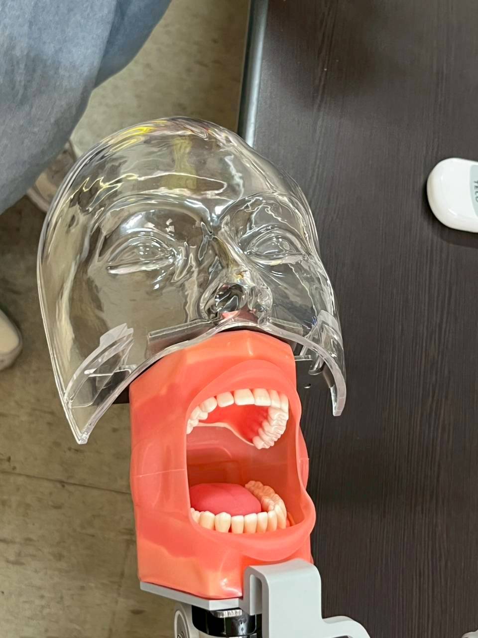 Link to 20260422中正國中抽離式課程體驗ARVR數位化教學